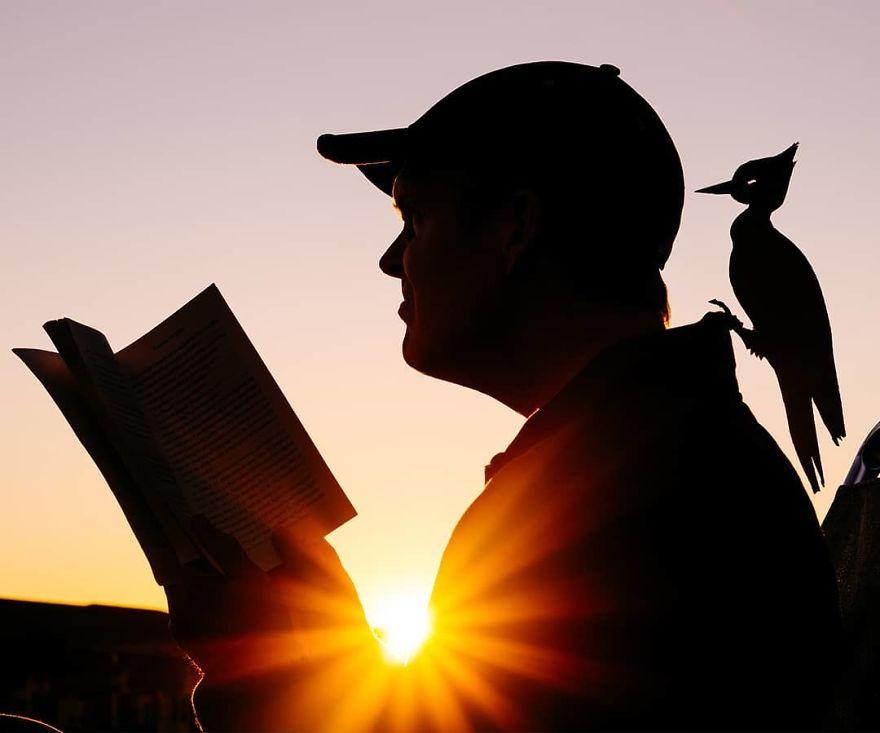 coucher-de-soleil-cartons-9991