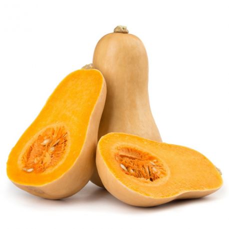 courge-butternut