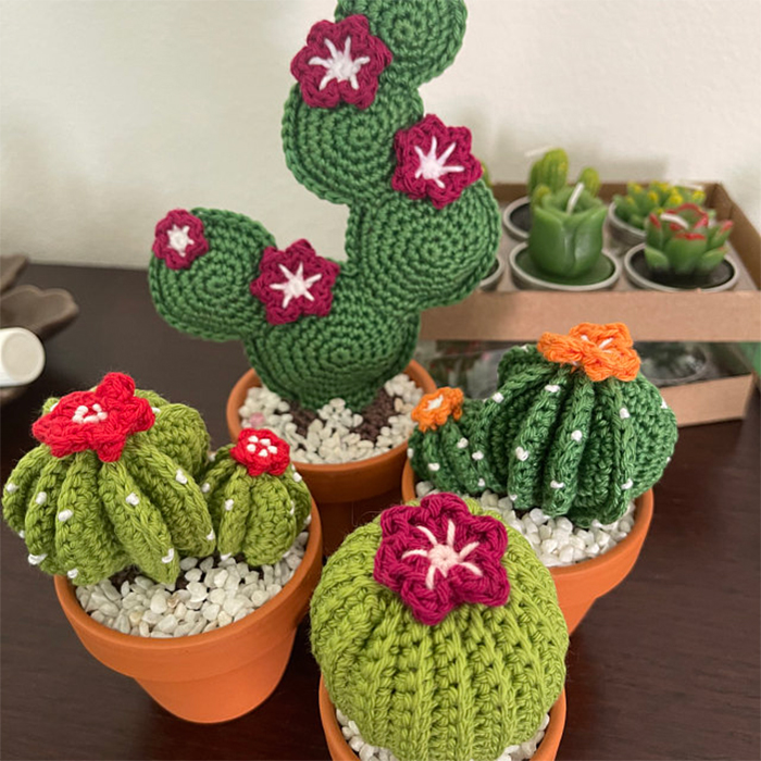 crochet-cactus-3
