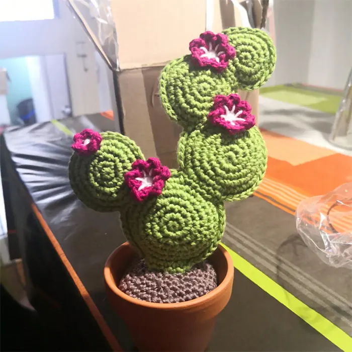 crochet-cactus-7