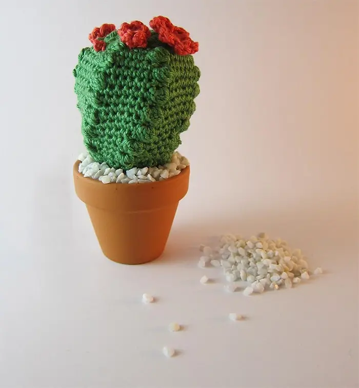 crochet-cactus-9