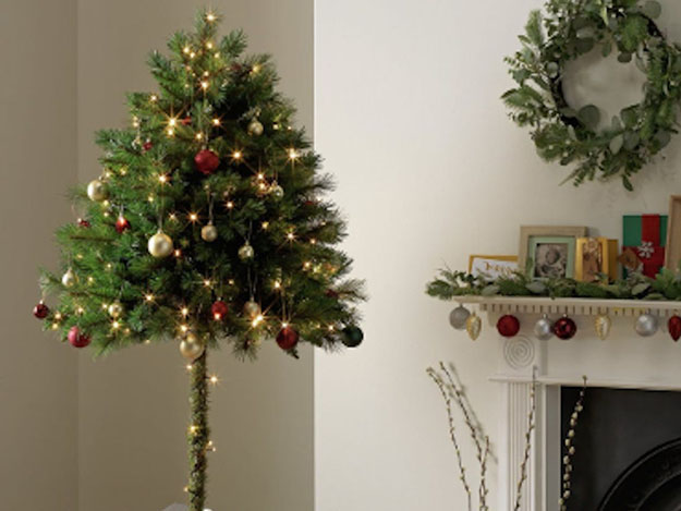 demi-sapin-chat-detruire-arbre-noel-1