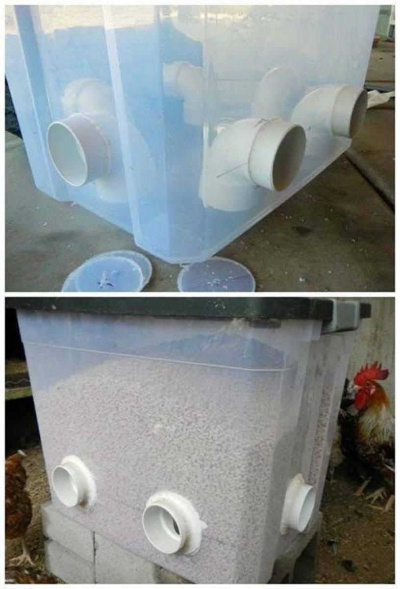 divertir-et-nourrir-vos-poules-99