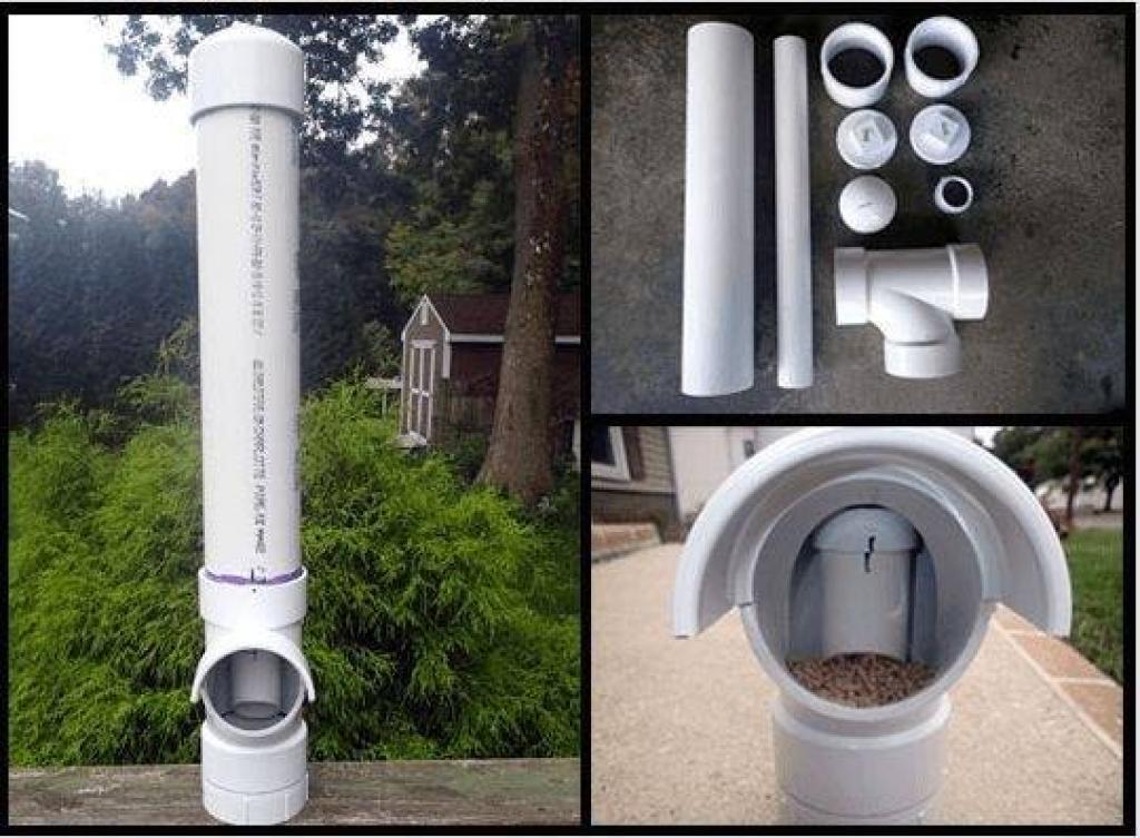 divertir-et-nourrir-vos-poules-995