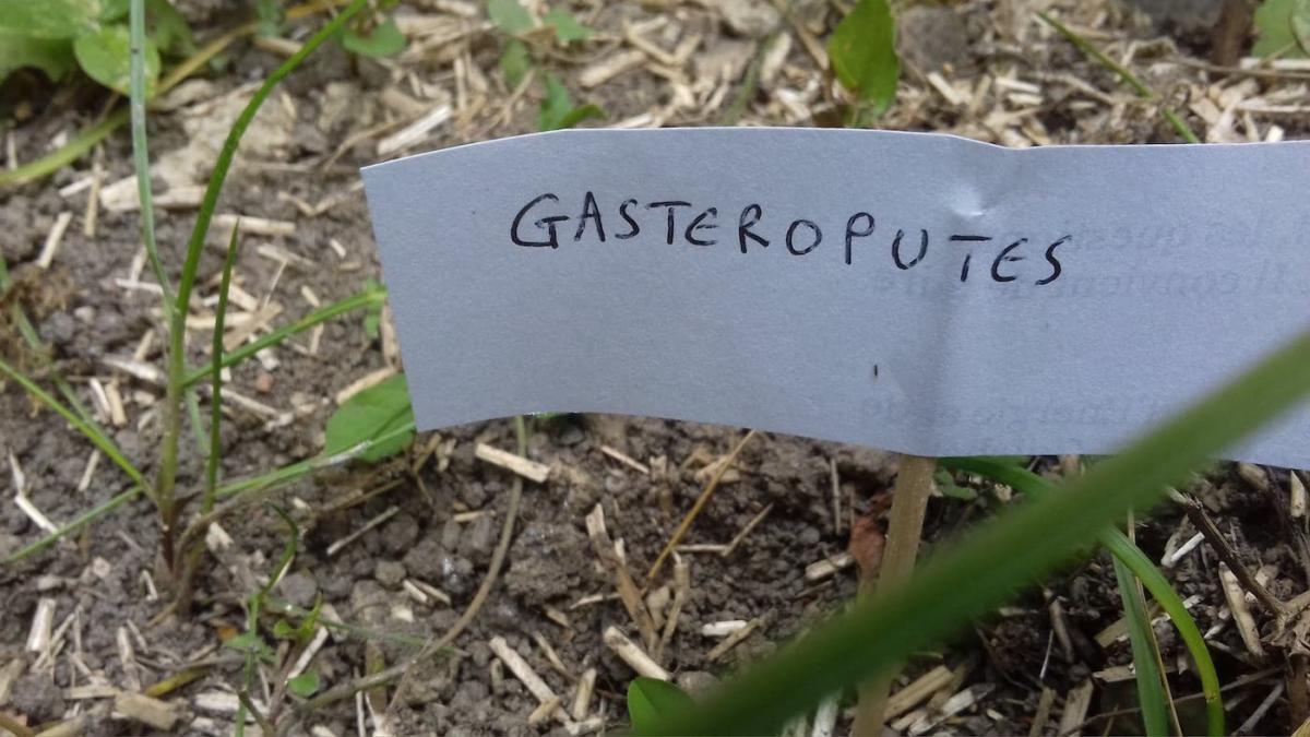 escargots-panneaux-humour-1