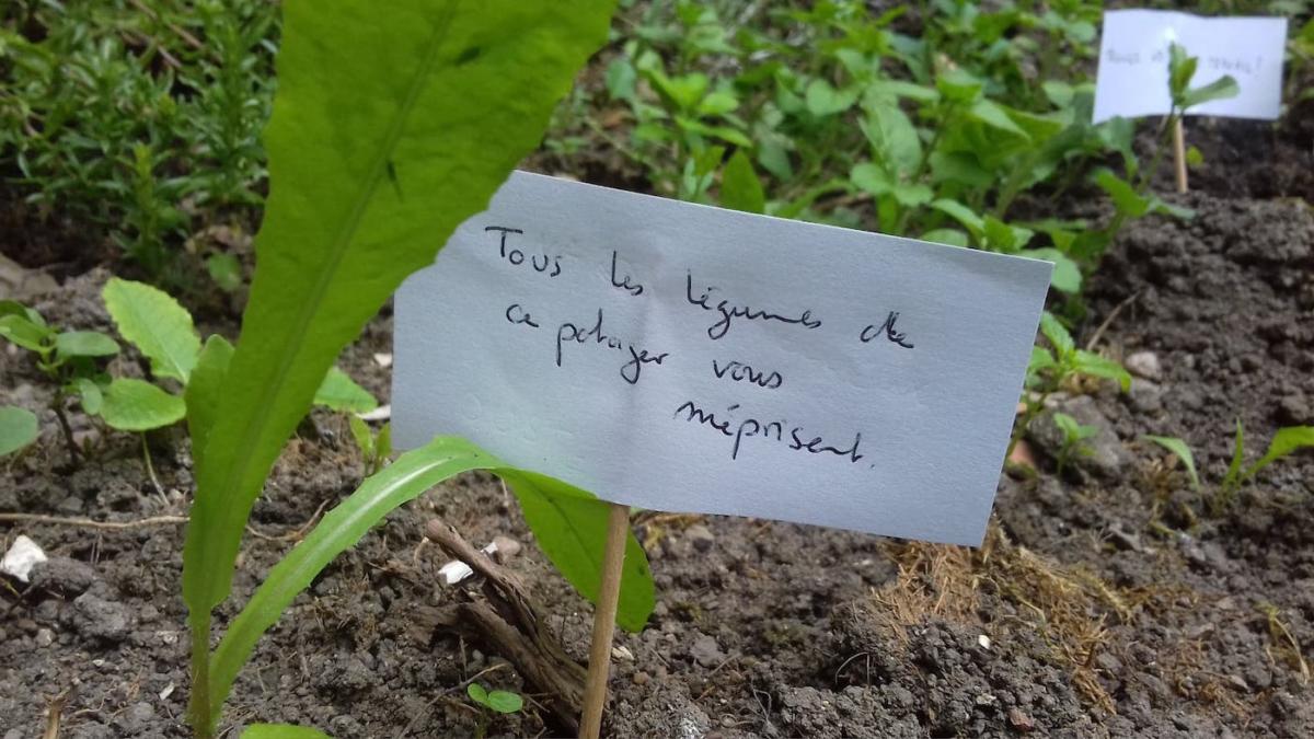 escargots-panneaux-humour-10