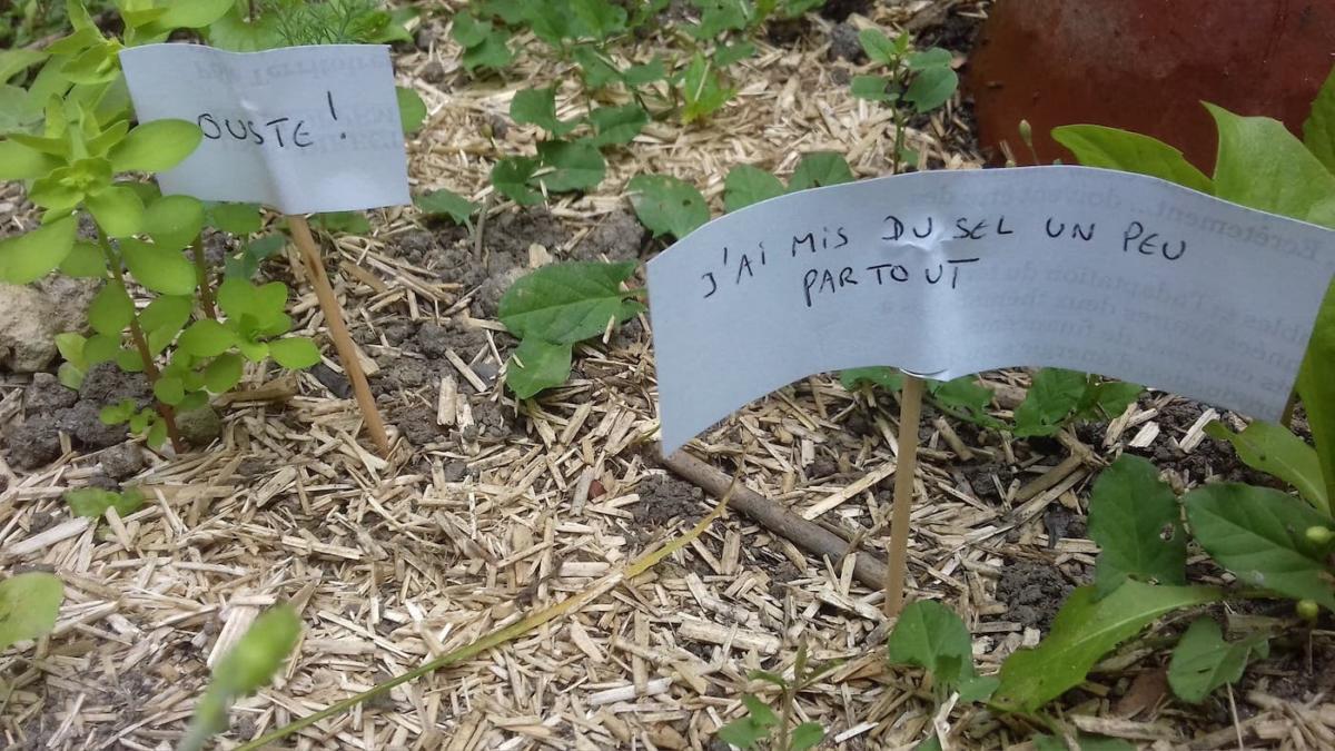 escargots-panneaux-humour-2