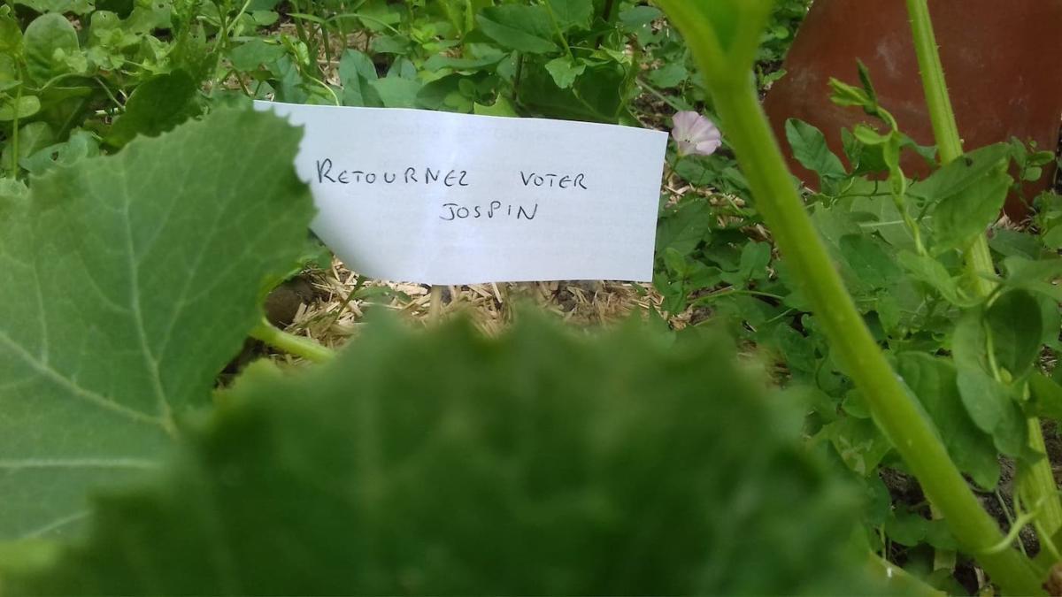 escargots-panneaux-humour-3