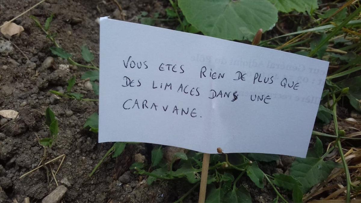 escargots-panneaux-humour-4