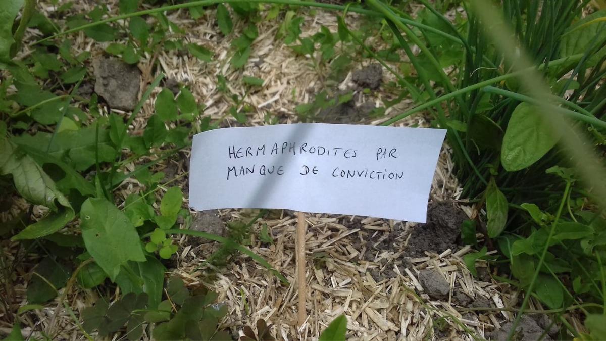 escargots-panneaux-humour-5