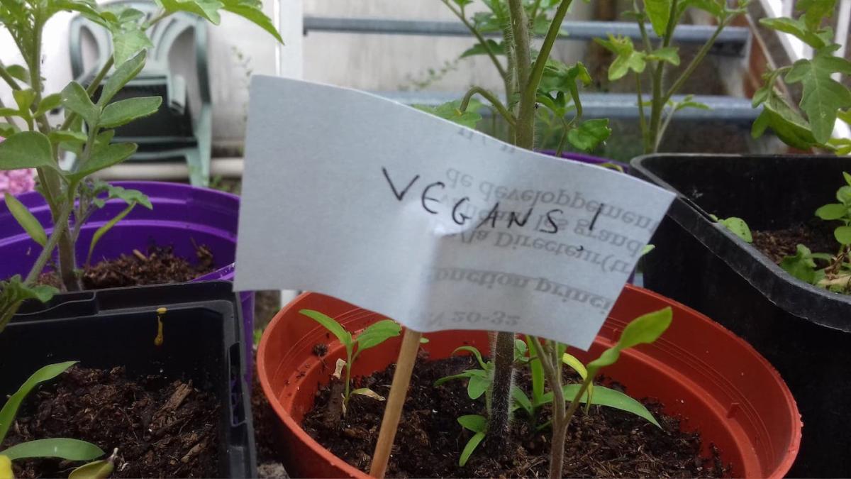 escargots-panneaux-humour-6