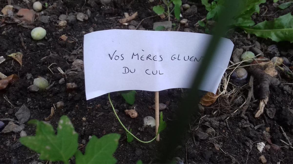 escargots-panneaux-humour-7