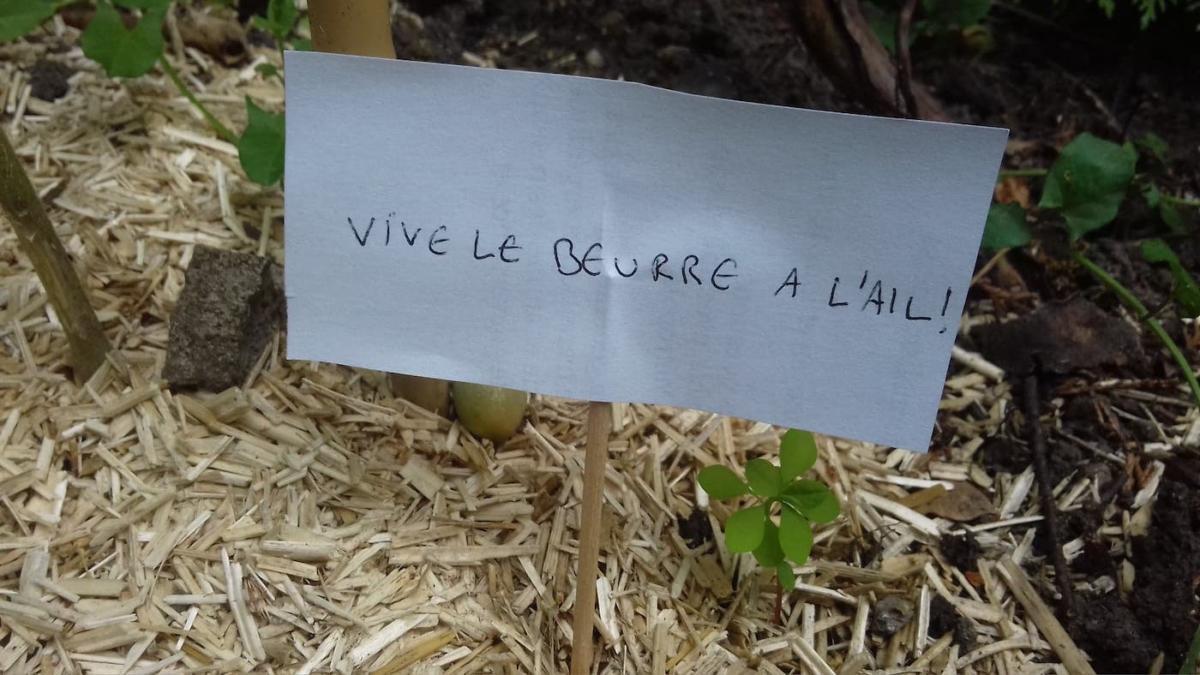 escargots-panneaux-humour-8