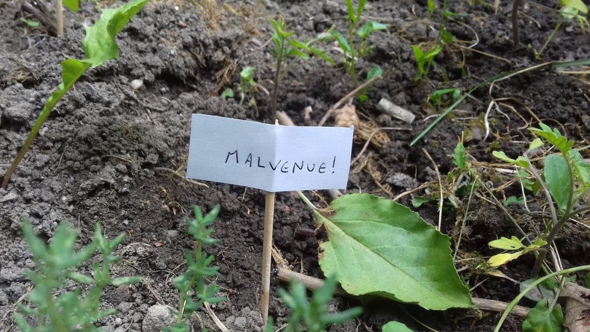 escargots-panneaux-humour-9