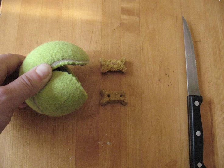 fabriquer-jouet-chat-chien-10