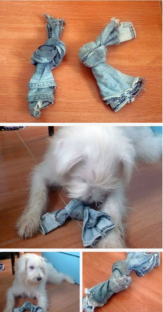 fabriquer-jouet-chat-chien-2