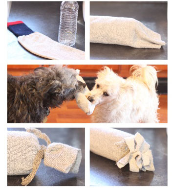 fabriquer-jouet-chat-chien-8