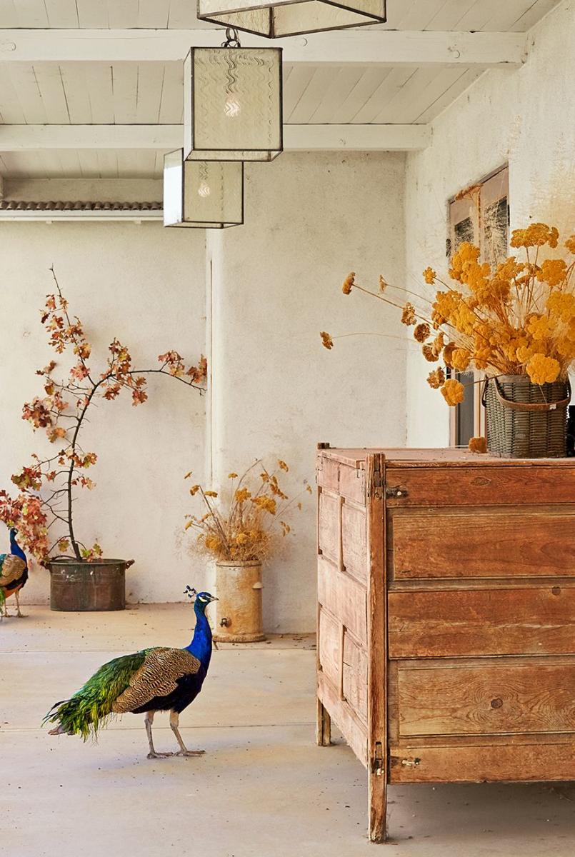 fall-porch-decor-clx110117wellranch-07-1562690947