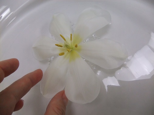 fleurs-flottantes-papier-bulles-06