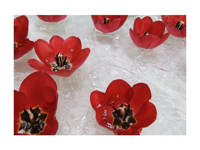 fleurs-flottantes-papier-bulles-11