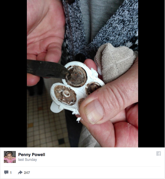 gobelets-bébés-moissure-1,1