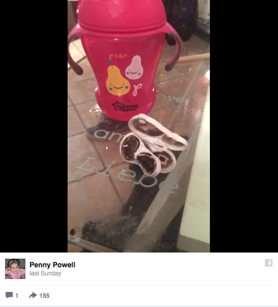 gobelets-bébés-moissure-2,1