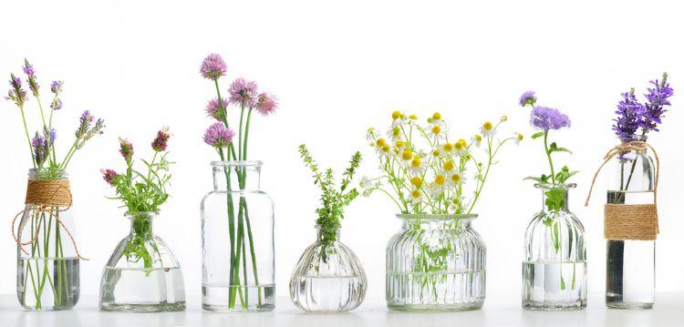 herbes-cultiver-dans-eau-92