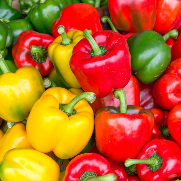 i120477-coulis-de-poivrons