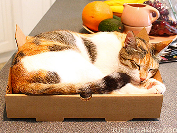 idée-recyclage-boite-à-pizza-27