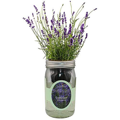 idéé-déco-jardin-2022-3