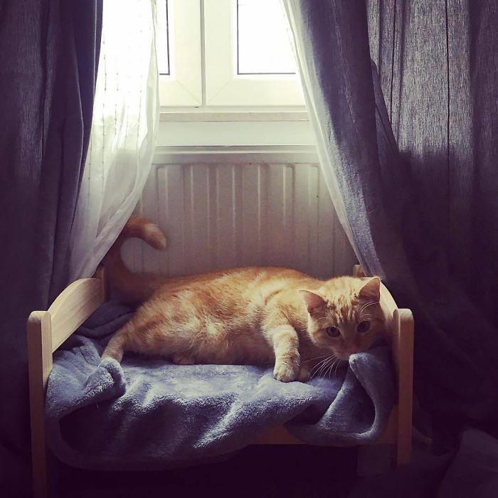 ikea-lits-poupees-chats-91