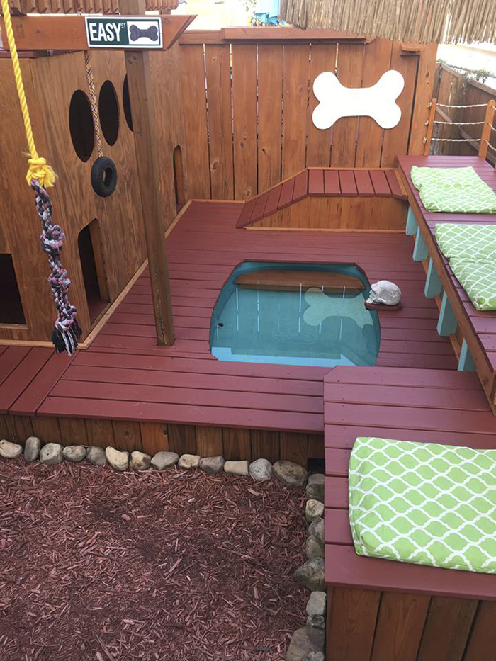 jardin-terrain-de-jeu-piscine-chiens-2
