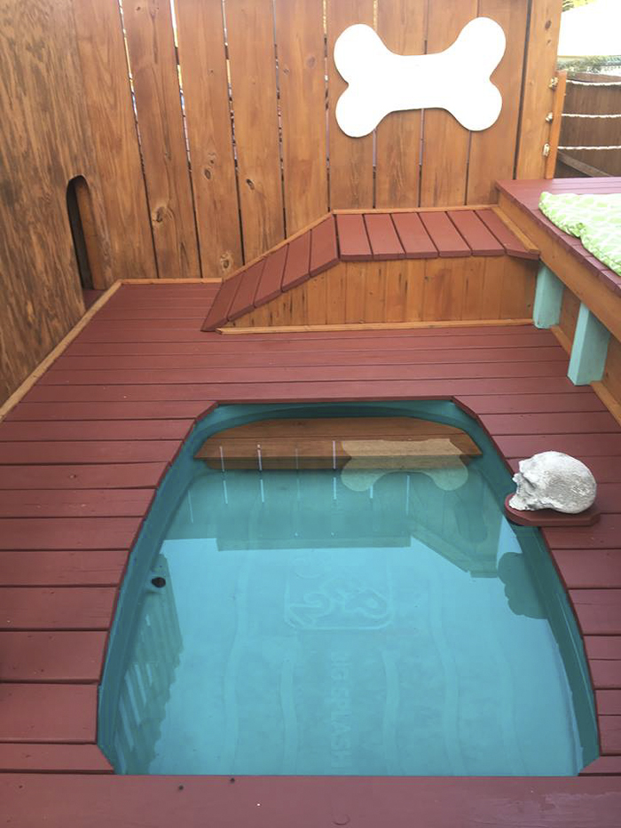 jardin-terrain-de-jeu-piscine-chiens-5