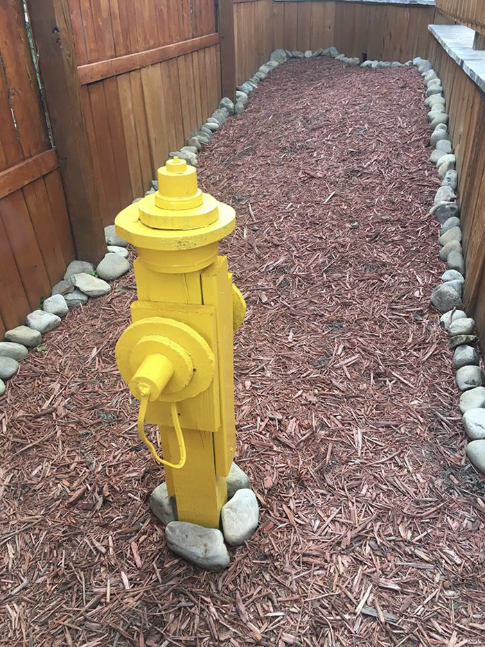 jardin-terrain-de-jeu-piscine-chiens-6