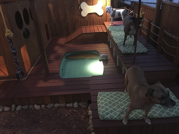 jardin-terrain-de-jeu-piscine-chiens-8