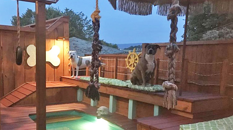 jardin-terrain-de-jeu-piscine-chiens-9