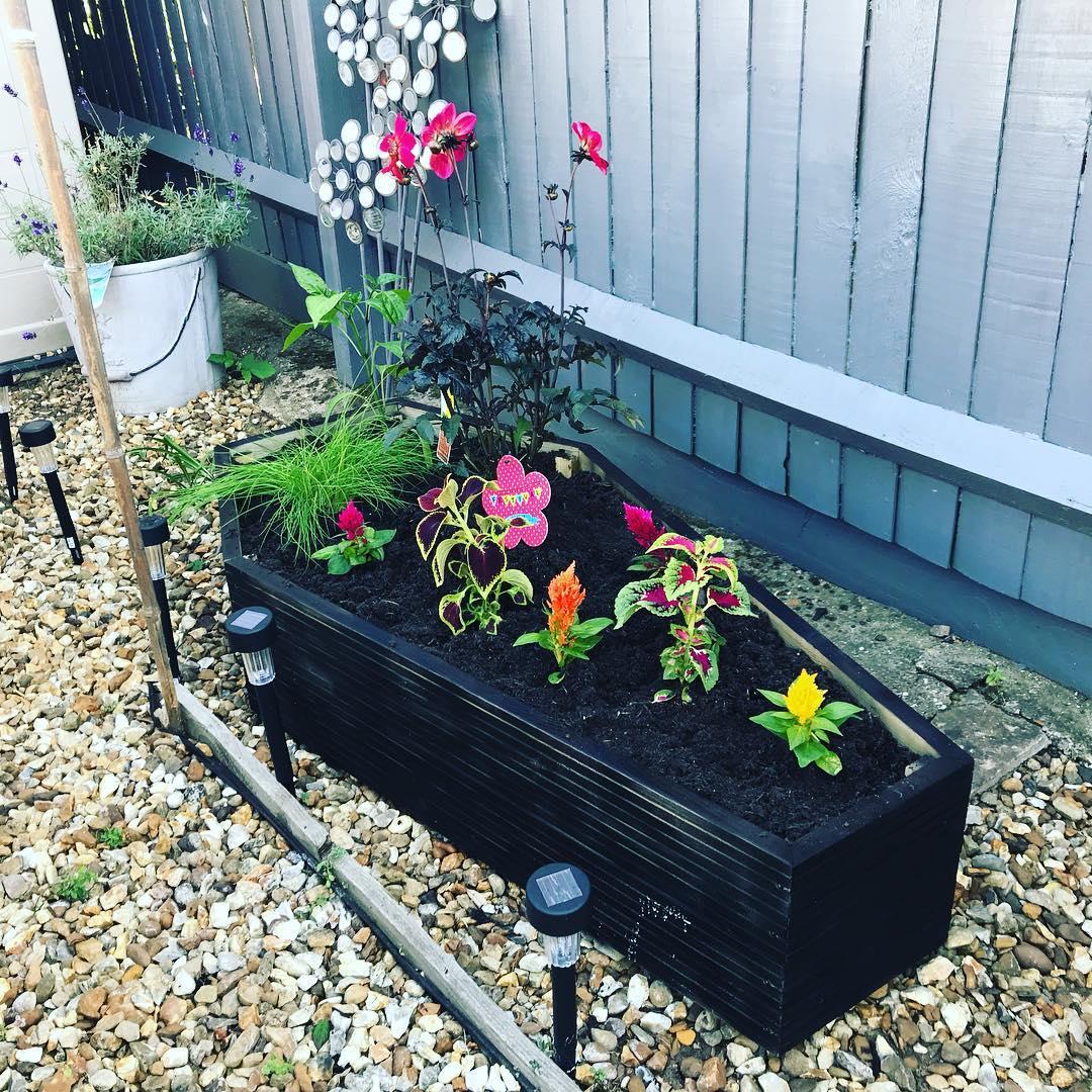 jardinières-en-forme-de-cercueil-pour-un-jardin-4