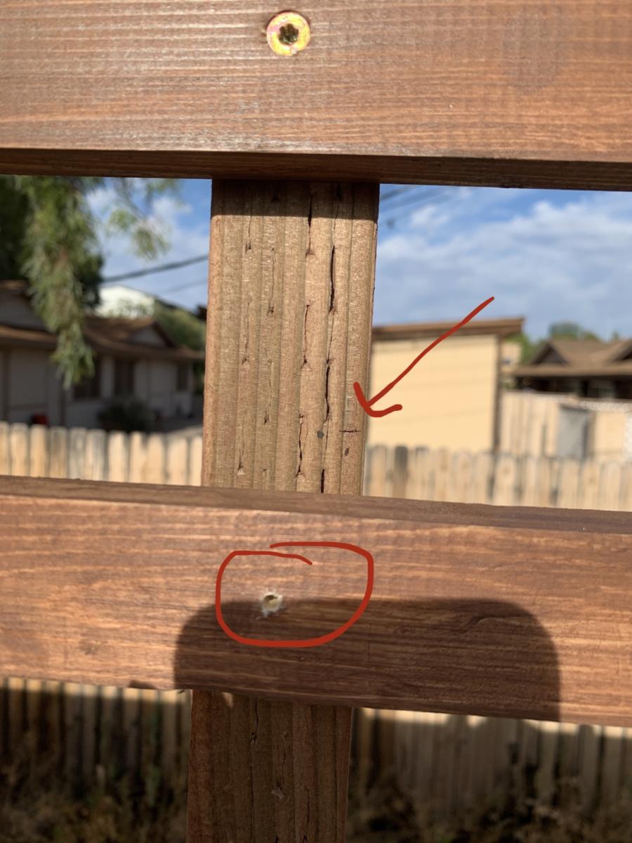 jardinière-avec-treillis-intégré91