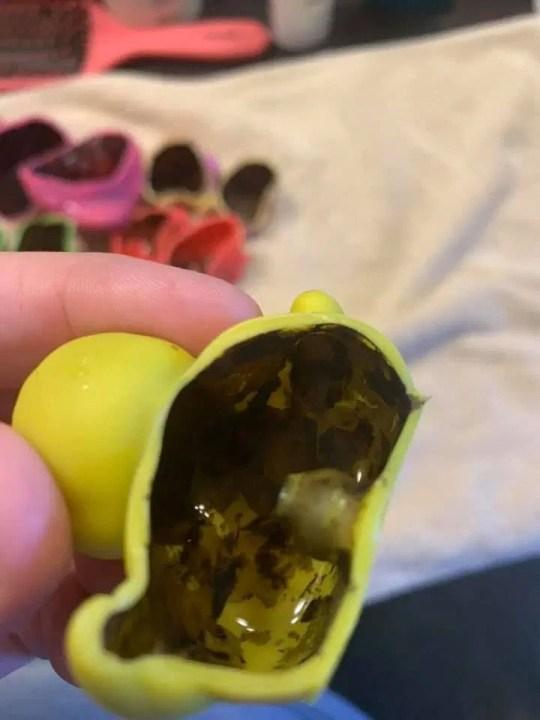 jouets-de-bain-enfant-moisissure-noire-message-mere-4