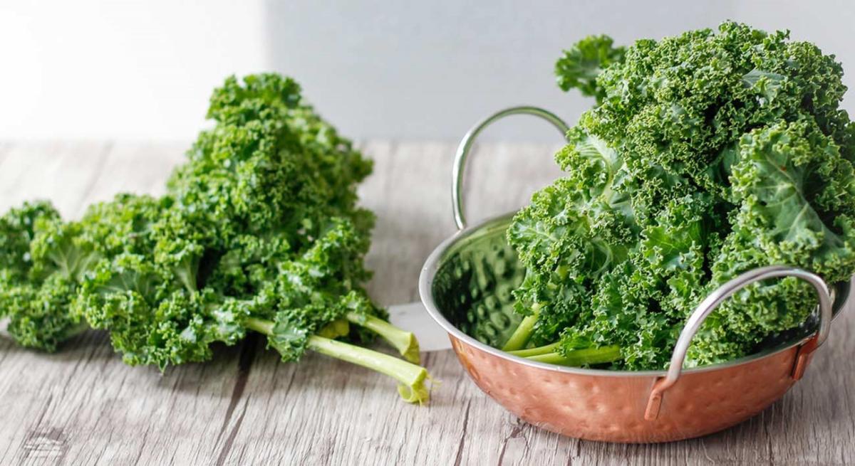 Le chou frisé ou chou Kale