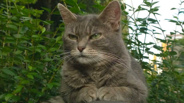 marc-de-cafe-astuce-12  