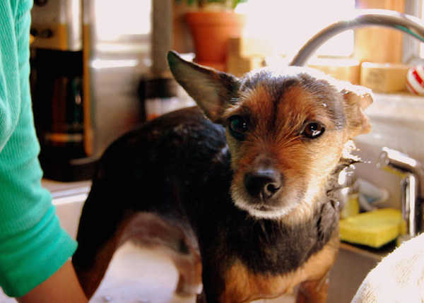 marc-de-cafe-astuce-16  