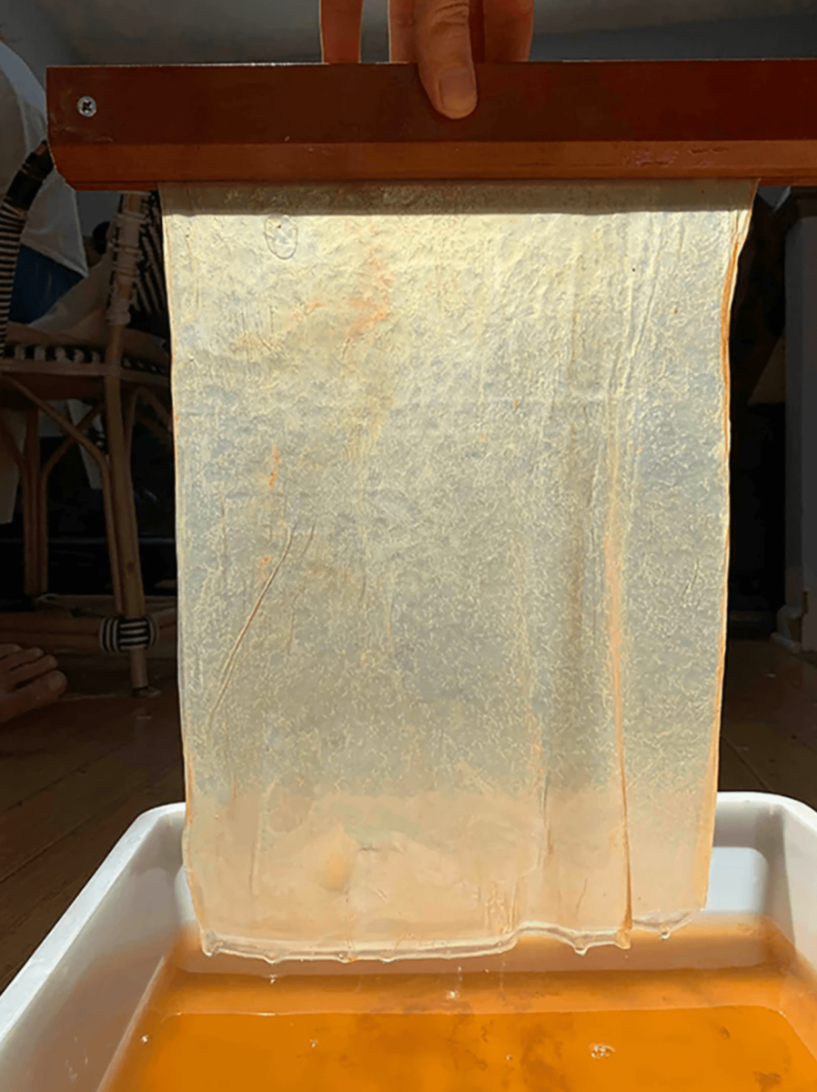 masque-biodegradable-cellulose-pollution-4