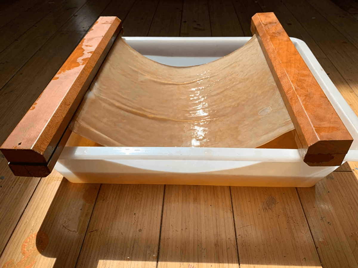 masque-biodegradable-cellulose-pollution-5