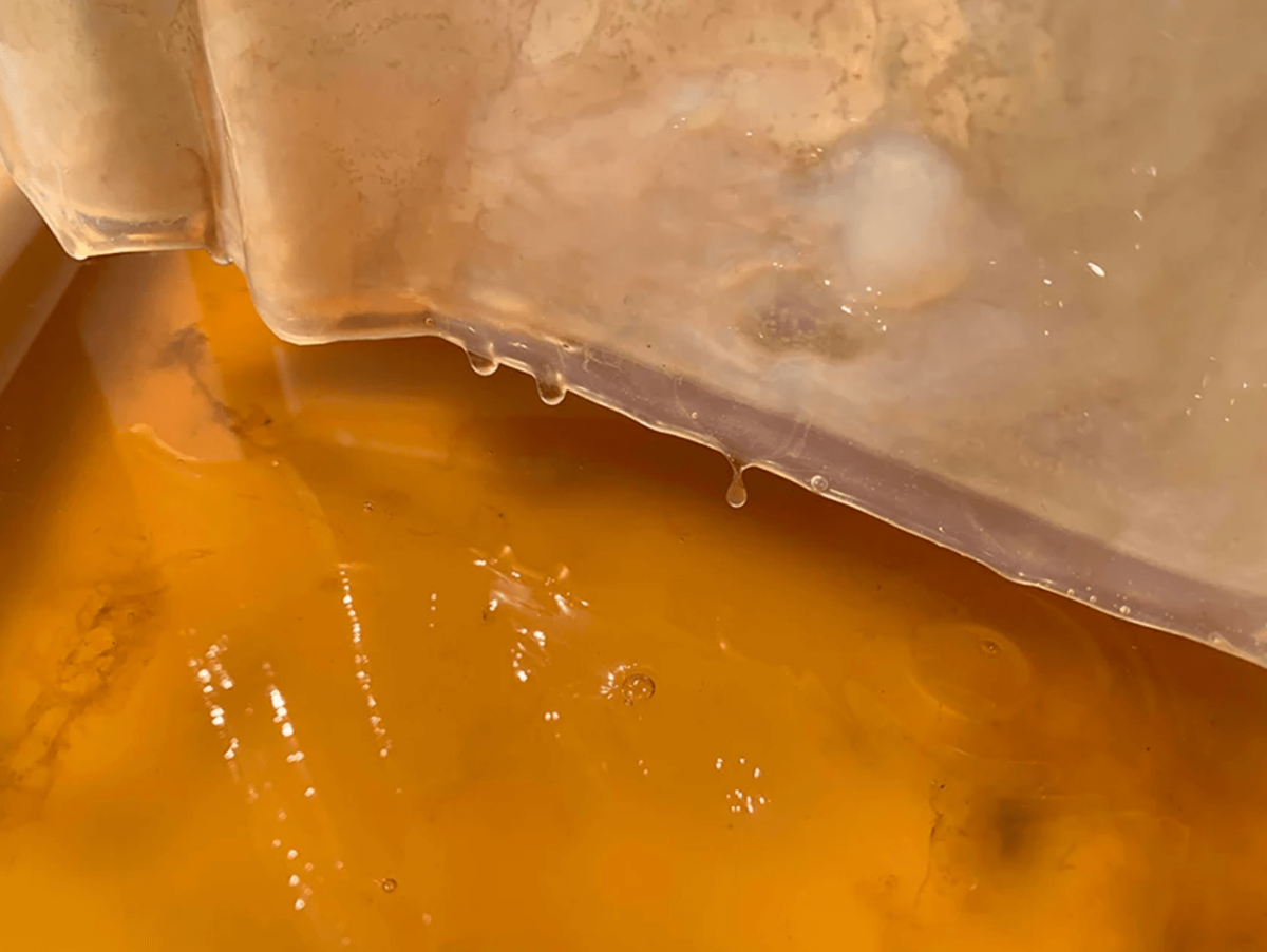 masque-biodegradable-cellulose-pollution-6