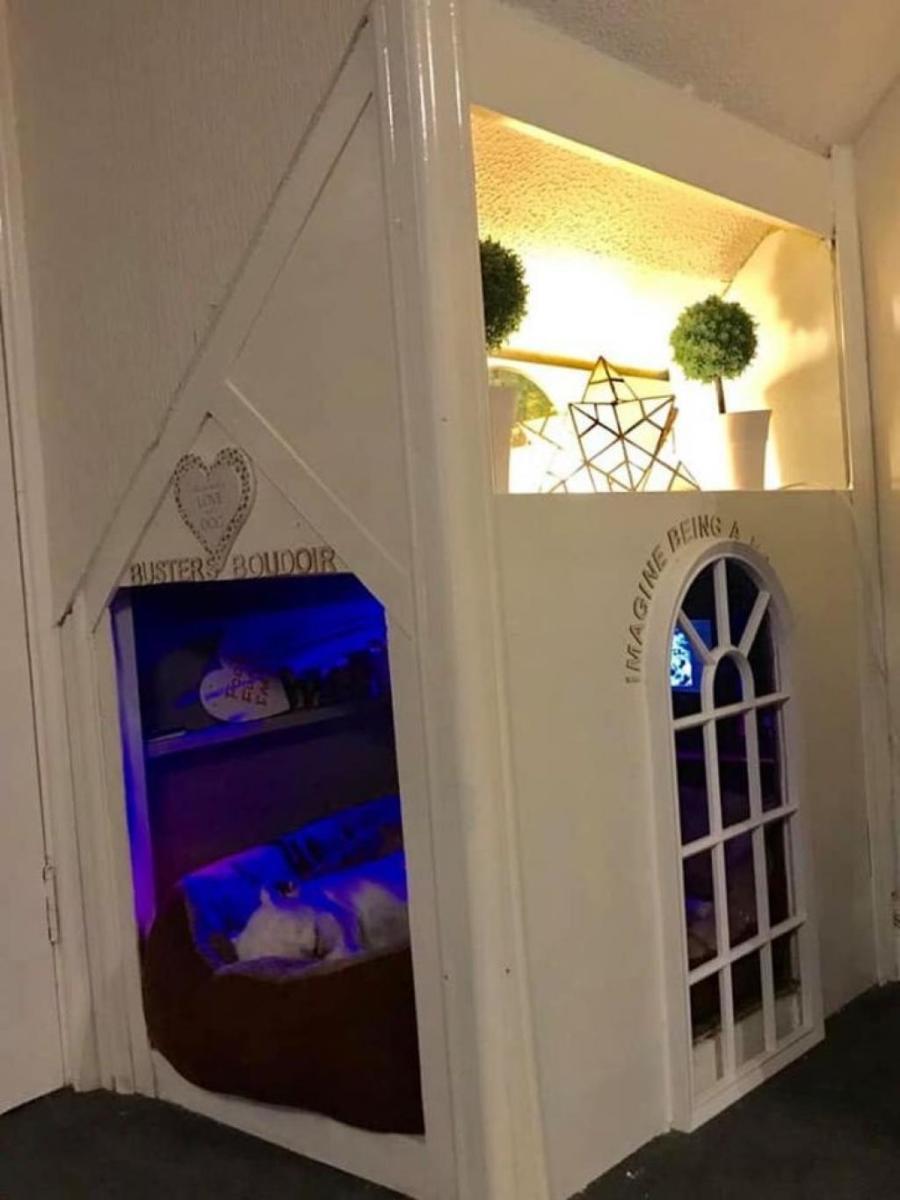 mini-maison-pour-chien-4