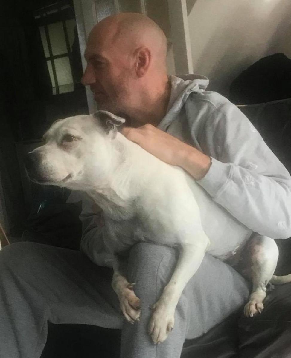 mini-maison-pour-chien-8