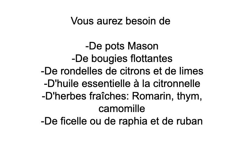 moustiques-citron-herbes-fraîches-5