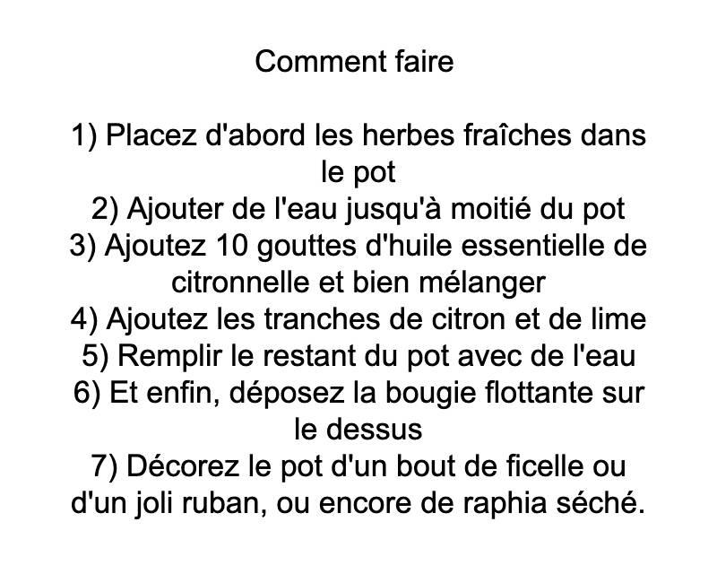 moustiques-citron-herbes-fraîches-6