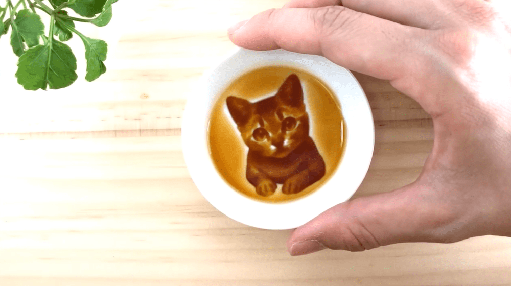 peintures-cachees-sauce-soja-6